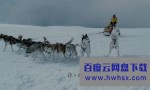 《南极大冒险》4k|1080p高清百度网盘