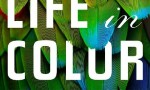 [多彩生活 Life In Colour][全03集][英语中字]4K|1080P高清百度网盘