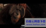 《猩球崛起3：终极之战》4k|1080p高清百度网盘
