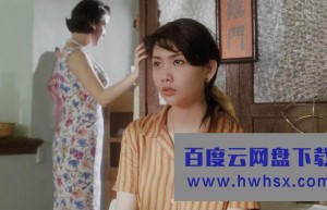 《五亿探长雷洛传2：父子情仇》4k|1080p高清百度网盘