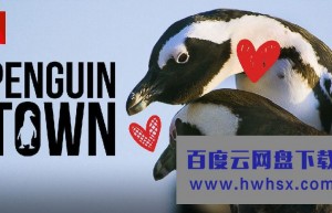 [企鹅小镇 Penguin Town 第一季][全08集][英语中字]4K|1080P高清百度网盘