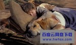 《老黄狗》4k|1080p高清百度网盘