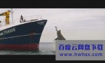 《深海狂鲨3》4k|1080p高清百度网盘
