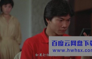 《打雀英雄传1981》4k|1080p高清百度网盘