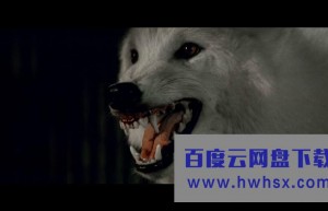 《狼人就在你身边》4k|1080p高清百度网盘