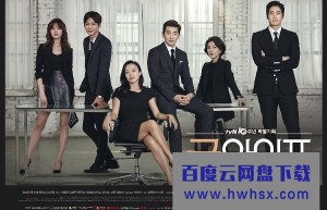 [The Good Wife][全16集][韩语中字]4k|1080p高清百度网盘