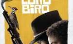 [上帝之鸟/上帝鸟/The Good Lord Bird 第一季][全集]4K|1080P高清百度网盘