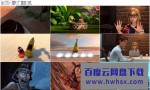 《爆笑虫子之冒险岛大电影》4K|1080P高清百度网盘