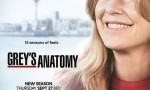 [实习医生格蕾/Greys Anatomy 第十五季][全25集]4k|1080p高清百度网盘