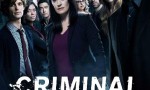 [犯罪心理/Criminal Minds 第十三季][全22集]4k|1080p高清百度网盘