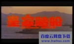 《霸王花3：皇家赌船》4k|1080p高清百度网盘