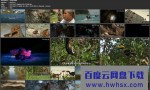 [野性泰国][全3集]4k|1080p高清百度网盘