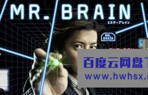 [脑神探/脑侦探/MR. BRAIN][全08集][日语中字]4k|1080p高清百度网盘