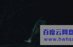2021恐怖剧情《野兽的黎明》1080p.BD高清中字4K|1080P高清百度网盘