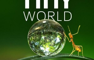 [小小世界 Tiny World 第一季][全06集]4K|1080P高清百度网盘