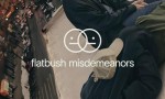 [Flatbush Misdemeanors 第一季][全集]4K|1080P高清百度网盘