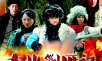 超清720P《东北剿匪记》电视剧 全48集4k|1080p高清百度网盘