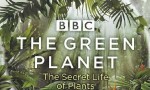 [绿色星球 The Green Planet 第一季][全集]4K|1080P高清百度网盘