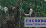 2020剧情《林中绮谭》1080p.BD中字4K|1080P高清百度网盘