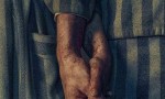 [奥斯威辛的刺青师 The Tattooist of Auschwitz 第一季][全06集][英语中字]4K|1080P高清百度网盘