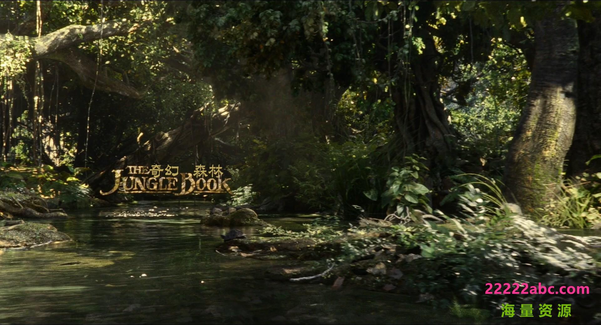 高分奇幻剧情《奇幻森林》1080p.国英双语.BD中英双字4K|1080P高清百度网盘