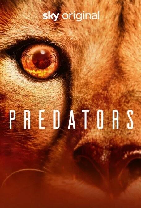 [捕食者 Predators 2022 第一季][全05集][英语中字]4K|1080P高清百度网盘