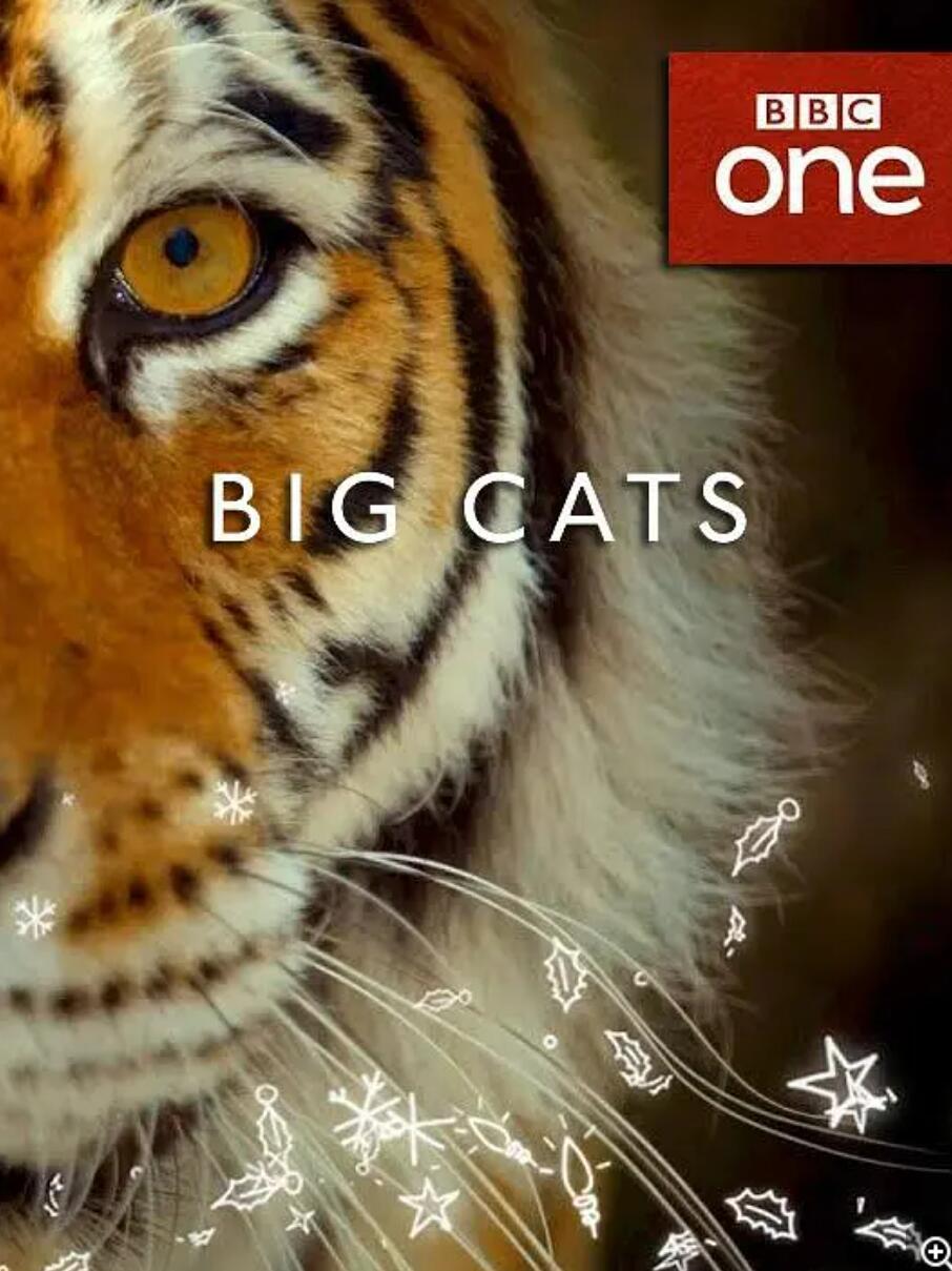 [大猫/Big Cats][全3集][][英国][纪录片] [国英双语.特效中英软字幕][1080P.H265]4K|1080P高清百度网盘
