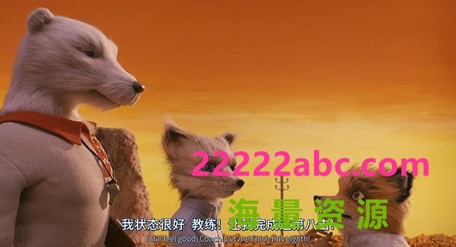 高分动画《了不起的狐狸爸爸》1080p.国英双语.BD中英双字4K|1080P高清百度网盘