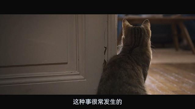 2022剧情《我和喵喵的冒险旅行》1080p.BD中字4K|1080P高清百度网盘