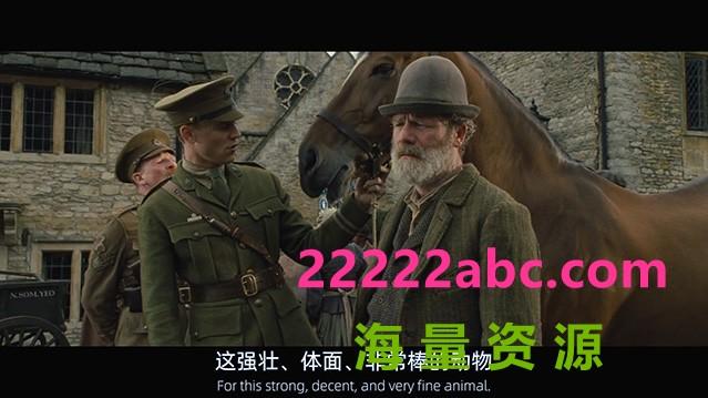 高分战争《战马》1080p.国英双语.BD中英双字4K|1080P高清百度网盘